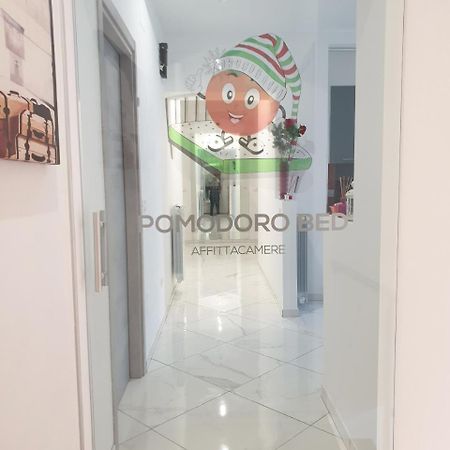 Bed and Breakfast Pomodoro Bed Castrovillari Zewnętrze zdjęcie